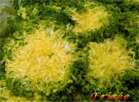 2 x salade frisée