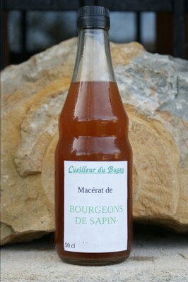 Macérat de bourgeons de sapin