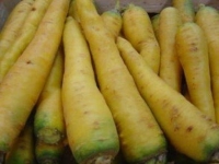 Carottes couleurs jaunes