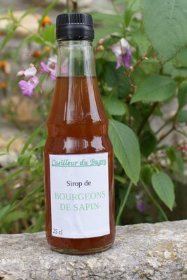 Sirop de bourgeons de sapin