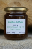 Gelée de bourgeons de pin sylvestre