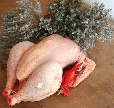 Poulets de 100 jours bio 1.35 à 1.5 kg