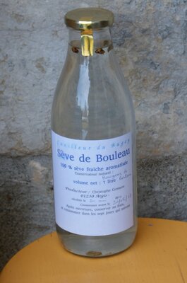 Sève de bouleau fraiche aromatisée ( bourgeons de bouleau)