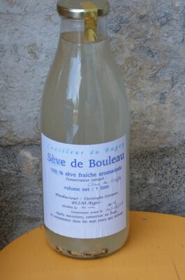 Sève de bouleau fraiche aromatisée ( clous de girofle)