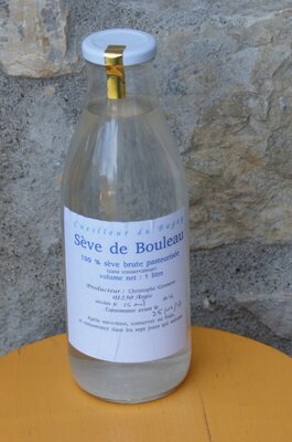 Sève de bouleau brute pasteurisée
