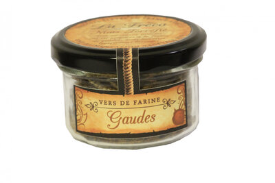 Vers de farine - saveur maïs torréfiés