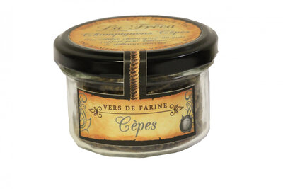 Vers de farine - saveur champignons cèpes