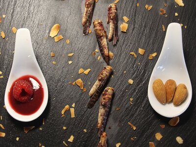 10 criquets enrobage framboise aux éclats d'amandes torréfiées