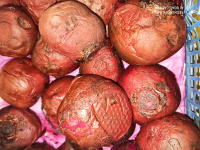 Betterave rouge-cuite