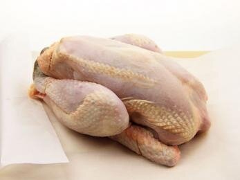 Poulet
