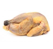Pintade