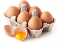 Oeufs de poules élevées en plein a