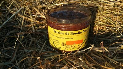 Terrine de boudin noir