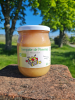 Compote de pommes bio