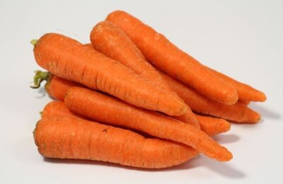 Carottes de plein champ