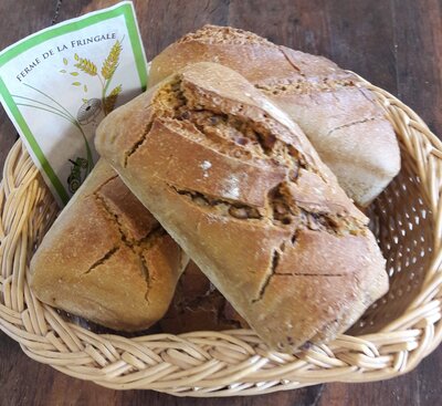 Pain 500g de petit epeautre aux noisettes