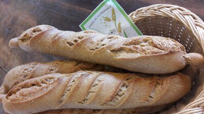 Pain 500g long nature