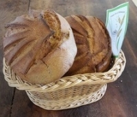 Pain 1 kg nature boule