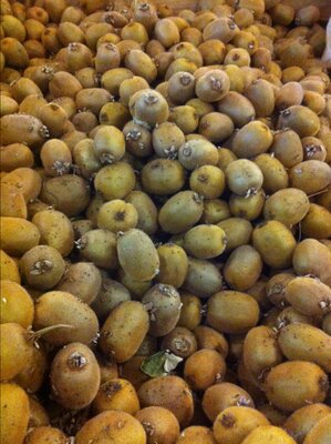 Kiwis vert