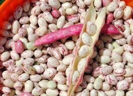 Coco sec de 'prague'-250g