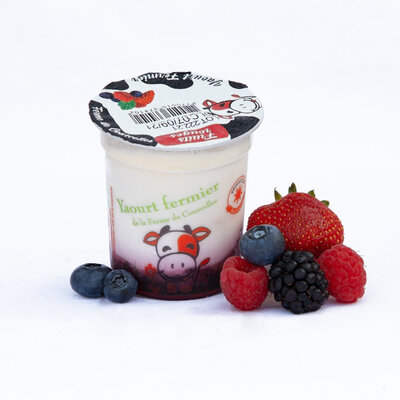 A*yaourt aux fruits rouges
