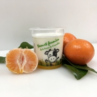 A*yaourt à la clémentine