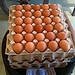 Oeufs de poule***