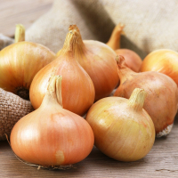 Oignon jaune-