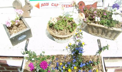 Paillage mini plaquettes bois pour jardinières et rempotage d'intérieur