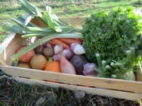 Panier bio fruits et légumes de sai