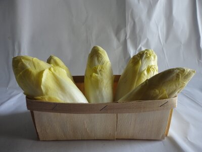 Endives