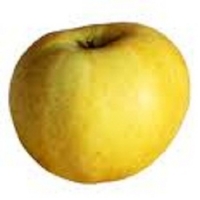 Pomme chantecler ( sachet 1kg)