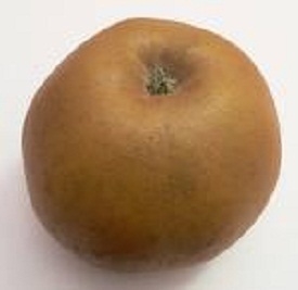 Pomme reinette grise du canada ( 2kg)
