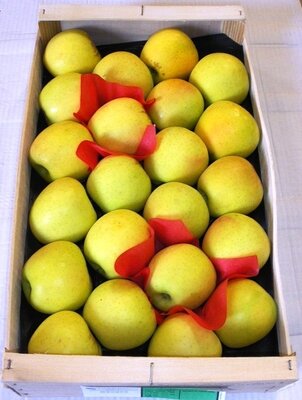 Grosse pomme golden plateau 4.3kg