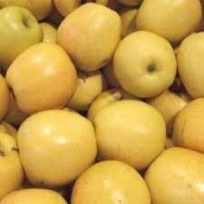 Pomme golden plateau 5 kg 'bon marché'