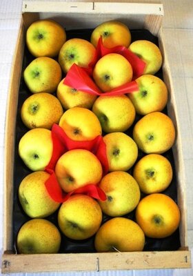 Pomme chantecler plateau de 4.5kg
