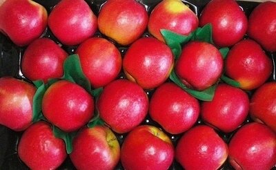 Pomme belle-rose plateau de 4.3kg