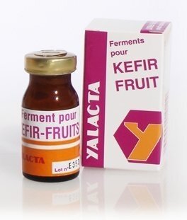 Ferment pour fabrication de kefir de fruit 4 gr