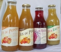 Lot découverte de 4 jus de fruit x 1l