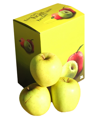 Jus de pomme 100% pur jus-fontaine 3l