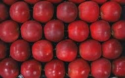 Pomme red-chief plateau de 4.3kg]