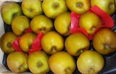 Pomme reinette  grise du canada plateau