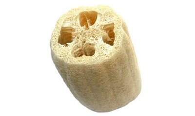 Eponge loofah