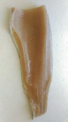 Filets de truites sous vide