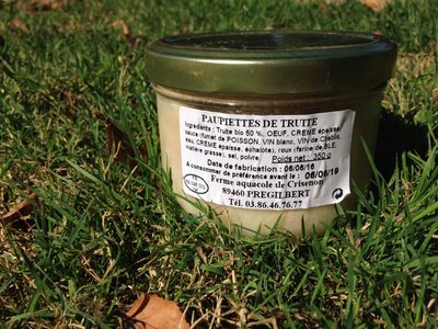 Paupiettes de truite