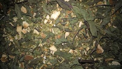 Maté frais du soleil