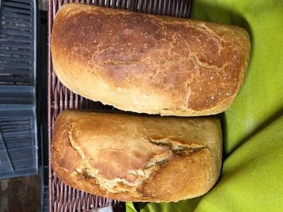 Pain de mie nature