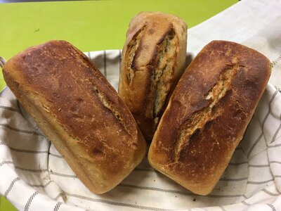 Pain au miel