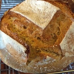 Pain bio au sesame