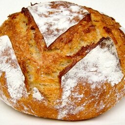 Pain bio au blé khorasan